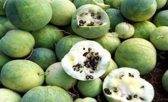 沐颖黑料吃瓜,娱乐圈背后的真相与争议  第3张