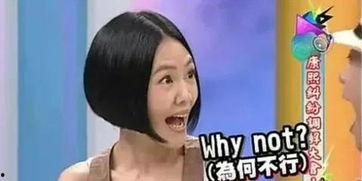 瓜哥带你吃瓜鸿星尔克,一场别开生面的吃瓜之旅  第2张