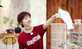 吃瓜大神景甜,揭秘娱乐圈背后的那些事儿  第3张