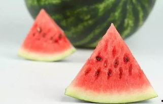 上海家长吃瓜,吃瓜热议，揭秘育儿那些事儿  第3张