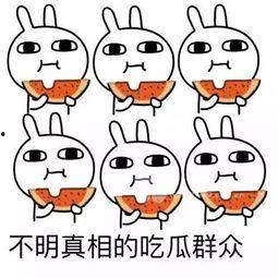 吃瓜也不老出门,揭秘出门必备攻略