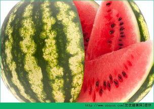 吃瓜也不老出门,揭秘出门必备攻略  第2张