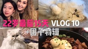 吃瓜少女vlog解密,带你走进网红生活的幕后真相  第2张