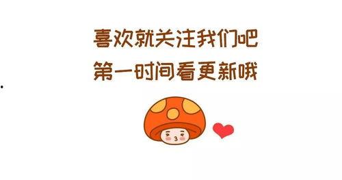 请你吃呆瓜  第2张