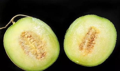 吃瓜喉咙过敏,揭秘过敏源与应对策略