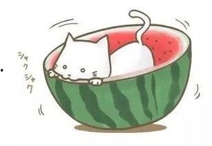 这个暑假吃瓜,盘点这个暑假的热门“吃瓜”事件  第3张