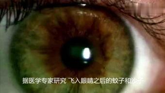 梦见吃瓜里面有虫子,吃瓜遇虫，揭秘潜意识中的恐惧与期待  第2张