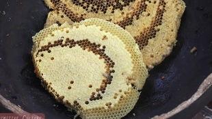 梦见吃瓜里面有虫子,吃瓜遇虫，揭秘潜意识中的恐惧与期待  第3张