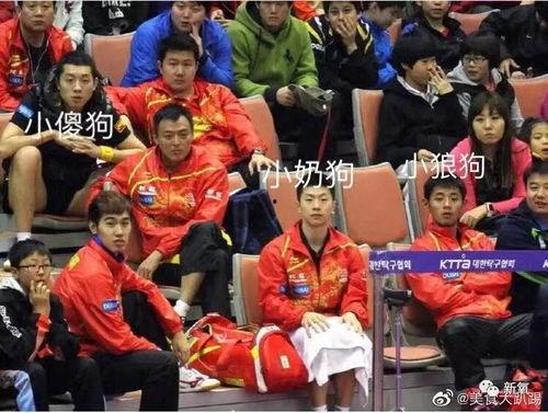国乒cp吃瓜,甜蜜互动背后的那些瓜  第2张