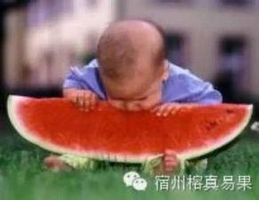 老头吃瓜头像,网络潮流背后的社会现象  第3张