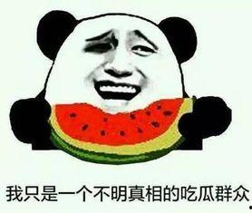 聚众吃瓜你的肥肥,一场欢乐的美食狂欢  第2张