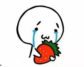 聚众吃瓜你的肥肥,一场欢乐的美食狂欢  第3张