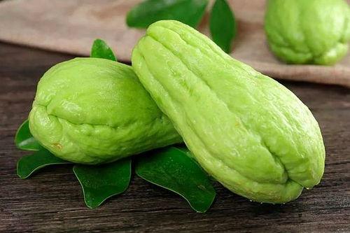 孕妇可以吃庞瓜尖,庞瓜尖的营养与美味