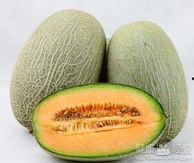 吃哈密瓜可以吃菊花吗,探索夏日消暑新选择