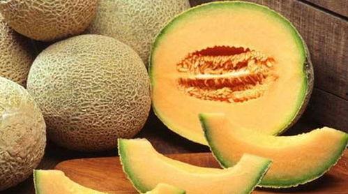 吃哈密瓜可以吃菊花吗,探索夏日消暑新选择  第3张