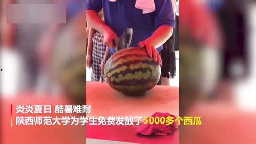 太湖学院吃瓜视频,揭秘校园生活趣味瞬间  第3张