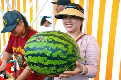 吃瓜有乐趣,揭秘娱乐圈幕后趣事