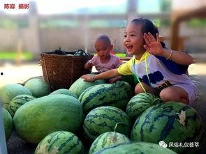 梦见地里摘瓜吃瓜,地里摘瓜吃瓜的奇幻之旅  第3张