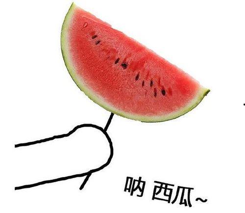 留学圈吃瓜改造,揭秘那些“吃瓜”背后的留学故事  第2张