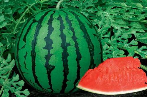 小依子吃瓜,揭秘娱乐圈那些不为人知的幕后故事