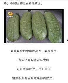 瓜种怎么吃,探索不同瓜类的独特食用方式  第2张