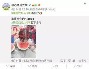 各大高校吃瓜网站,揭秘各大校园吃瓜网站热门事件盘点  第2张