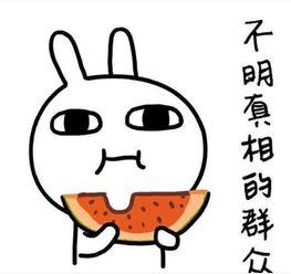 吃瓜惯用语,揭秘娱乐圈那些事儿  第2张