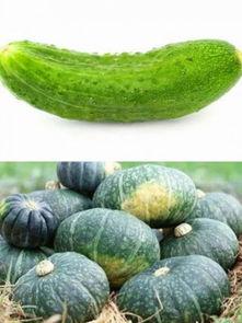 吃瓜网指什么,网络舆论场中的热点追踪者  第2张