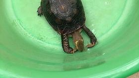 亚娱吃瓜,揭秘娱乐圈背后的那些事儿  第2张