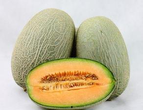 哈密瓜和桔子一起吃吗,哈密瓜与桔子同食的饮食搭配探讨  第3张