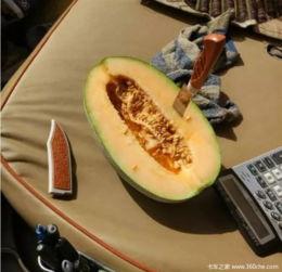 吃瓜的写作手法,揭秘娱乐圈那些不为人知的幕后故事  第3张