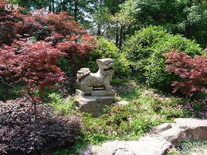 公园假山吃瓜,公园假山下的夏日吃瓜时光  第2张