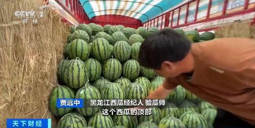 吃瓜是什么平台,网络热议背后的娱乐风向标  第2张