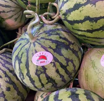 吃瓜是什么平台,网络热议背后的娱乐风向标  第3张