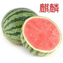 吃瓜没好处  第3张