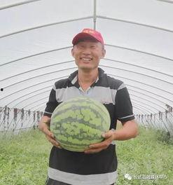 公路旁吃瓜,夏日休闲好去处  第3张