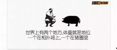 聚会吃瓜搞笑文案短句,吃瓜聚会欢乐多