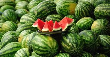 永年河北铺吃瓜最新,夏日吃瓜盛景，品味乡村休闲时光  第2张