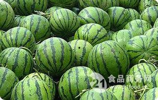 永年河北铺吃瓜最新,夏日吃瓜盛景，品味乡村休闲时光  第3张