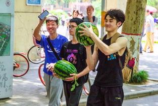 吃瓜科技学院,揭秘校园里的科技与生活趣事  第3张