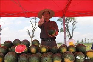 吃瓜群众果宝,揭秘娱乐圈背后的瓜田秘事