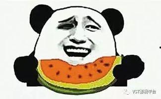 吃瓜群众果宝,揭秘娱乐圈背后的瓜田秘事  第2张