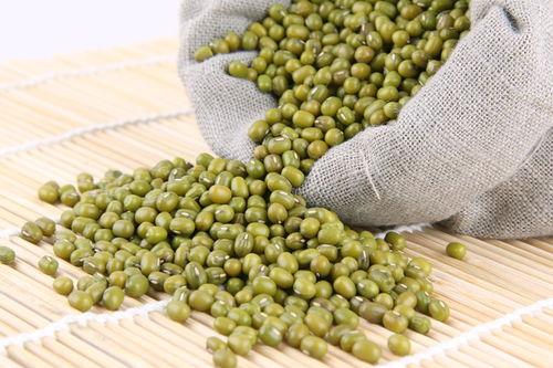 吃瓜种豆,探寻生活百态的趣味哲学  第3张