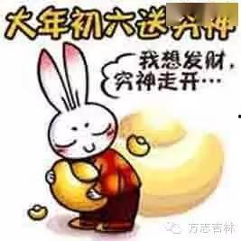 笨蛋初初吃瓜,揭秘娱乐圈那些事儿