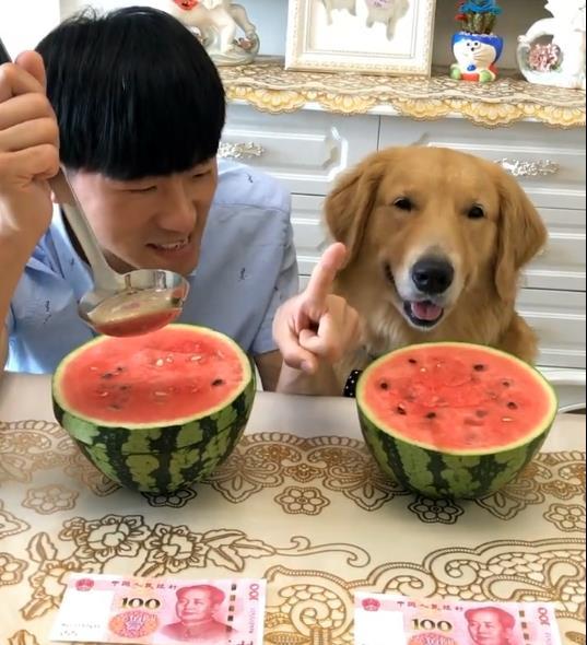 带你吃瓜不带你吃瓜  第3张