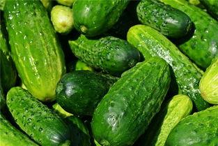 梦到吃士瓜,士瓜美食之旅