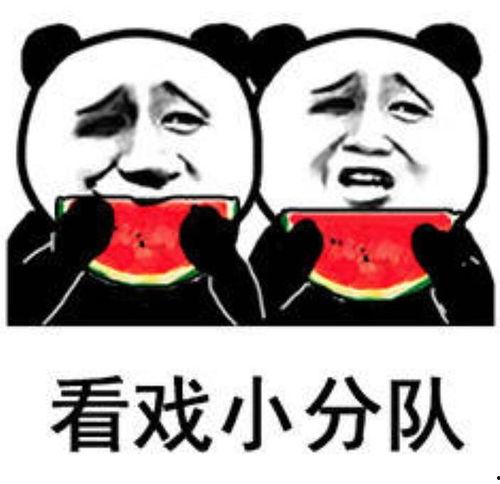 吃瓜爆笑表情包