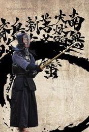 吃瓜剑道合集,一场别开生面的剑道盛宴  第2张