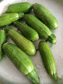 可以吃的角瓜,探索美味与健康的完美结合