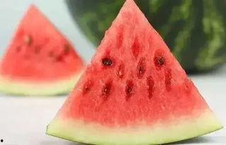 夏天吃瓜冬天,夏天吃瓜，冬天暖身  第2张